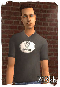 The Sims 2 Republic, hosted by SimsHost