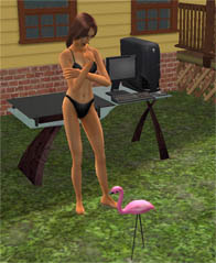 The Alienware Computer and the Pink Flamingo