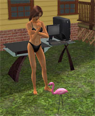 The Alienware Computer and the Pink Flamingo